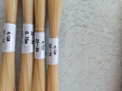 Surgical Suture, Plain Catgut in Bulk
