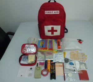 Earthquake Disaster Survival Kit with Emergency Preparedness (XT-FL285)