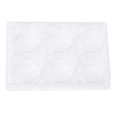 High Quality Wholesale Lab Instrument Plastic Transparent 6 Well Cell Plate