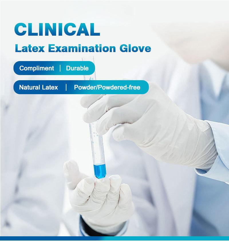 Made in China Competitive Price Disposable Gloves Different