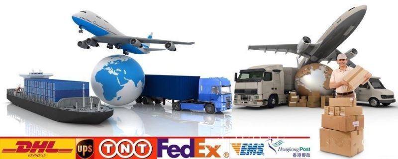 CE FDA Disposable Medical Supply Sterile Nasopharyngeal Swab Molecular Specimen Collection Kit Vtm Sterile Swab
