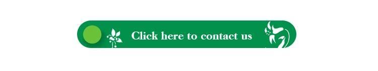 Stainless Steel Veterinary Hypodermic Needle for Animal
