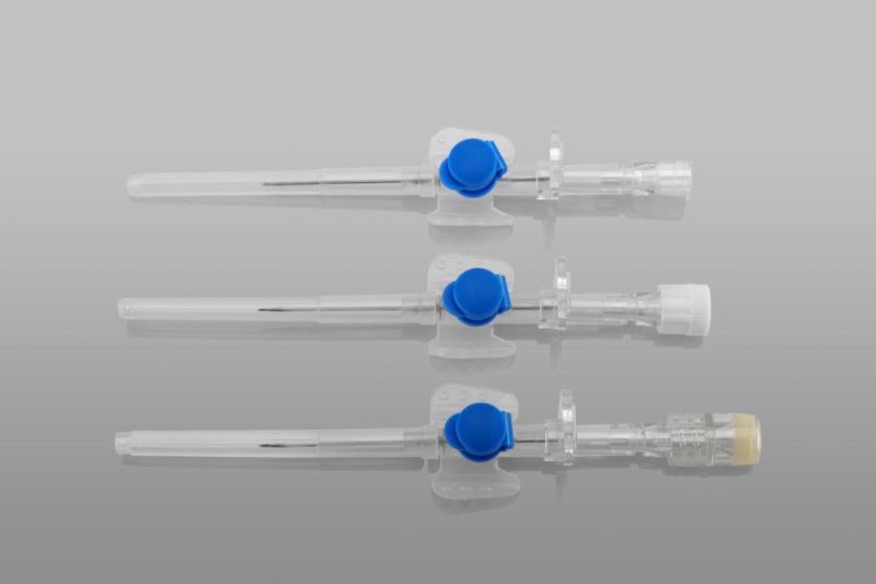 CE/FDA Approved Disposable I. V. Cannula with Factory Price