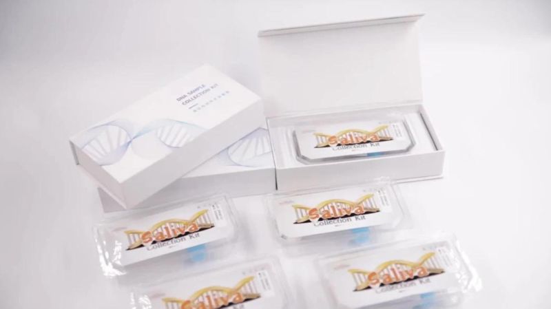 Wholesale Disposable Integrated Saliva Collection Samplling Kit Saliva Collector