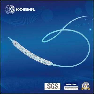 CE Manufacturer of Medical Ptca Balloon Catheter for Single Use