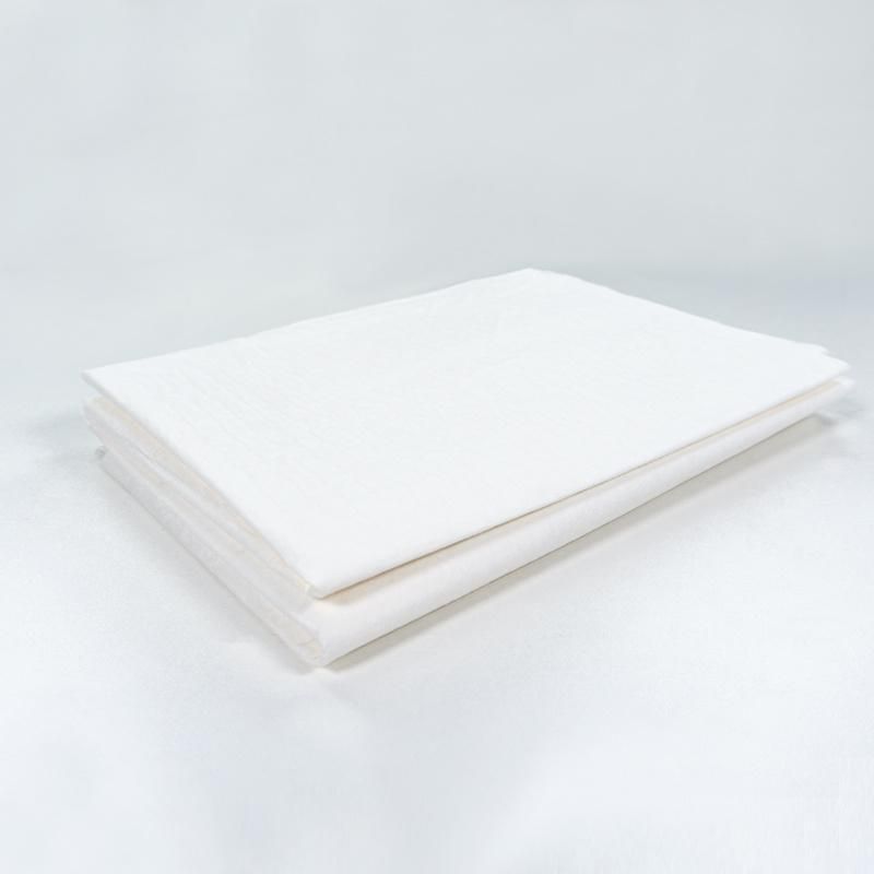 Medical Disposal Case Travel Size Tissue Poly Pillow Cover with CE