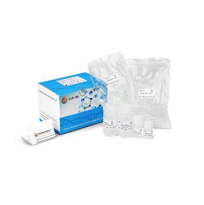 Runmei 15min Viral Rna &amp; DNA Extraction Kit Nucleic Acid Purification Kit Spin Column Method Short Time