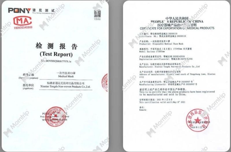 Disposable Non-Woven 3 Ply Earloop Medical Hypoallergenic Face Mask