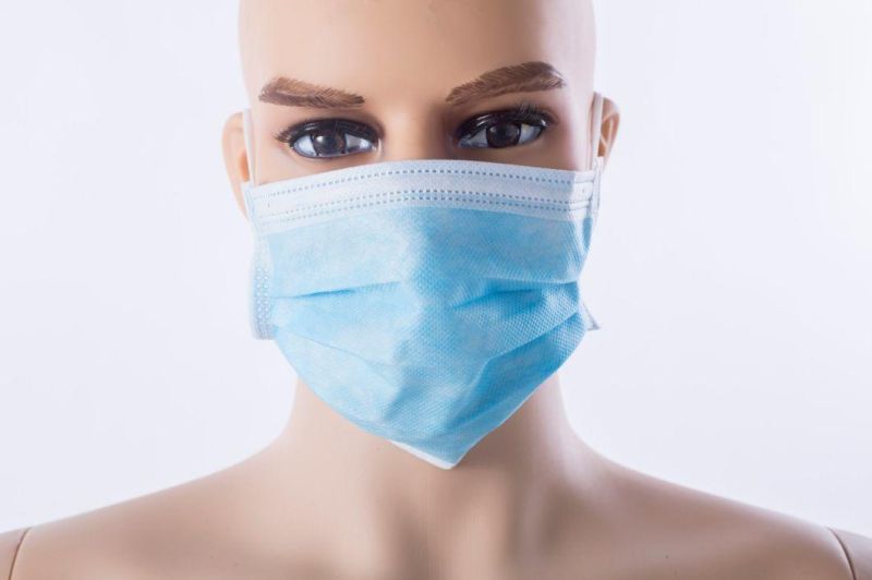 Nonwoven 3 Ply 50 PCS/Box Disposable Earloop Face Mask