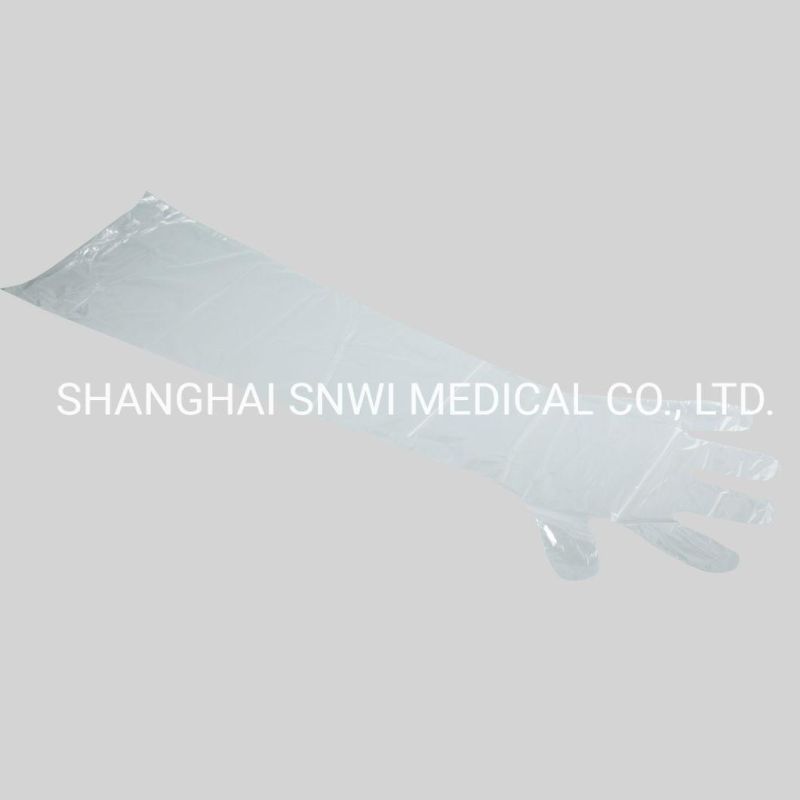 Disposable Medical Grade Sterile Latex Surgical Gloves Used in Hospital