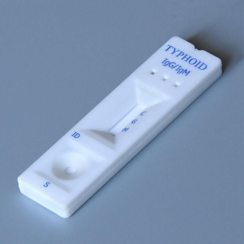 CE Diagnos Typhoid Rapid Test Kit Accurate Typhoid Fever Igg Igm Rapid