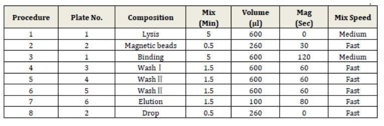 DNA Rna Test Rt-PCR Kit Nucleic Acid Extraction Kit Magnetic Beads PCR Detection Kit
