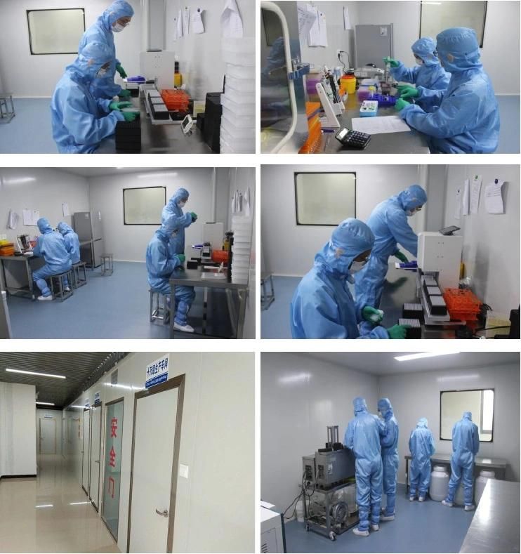 Nucleic Acid Extraction or Purification Kit (Magnetic Bead Method)