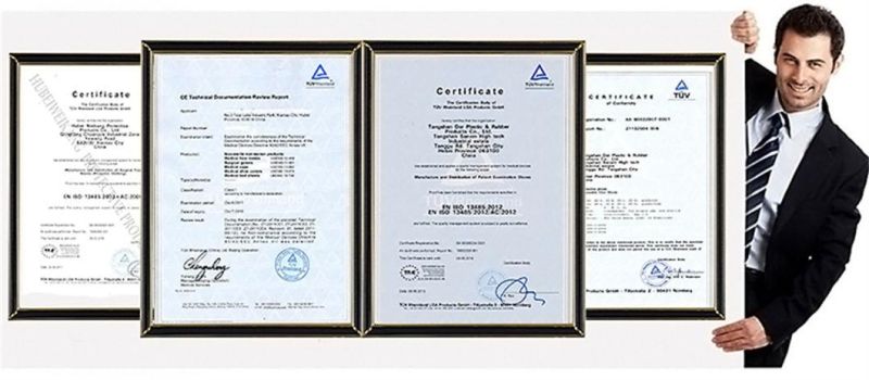 High Quality Disposable Coverall/ Clothing/Safety Clothing/Overall