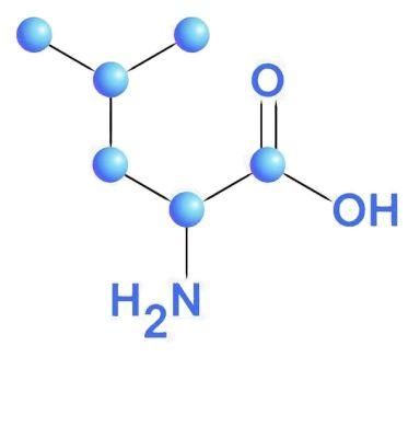 API Best Quality Mefenamic Acicd Low Price