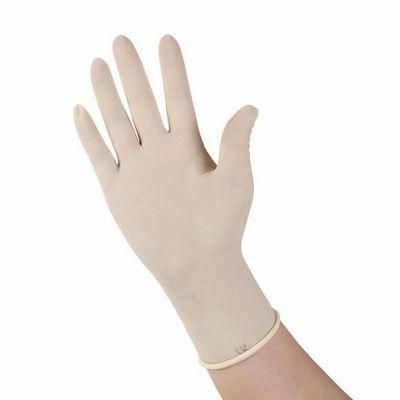 Factory Directly Sale Disposable Sterile Nitrile Glove for Personal Protect