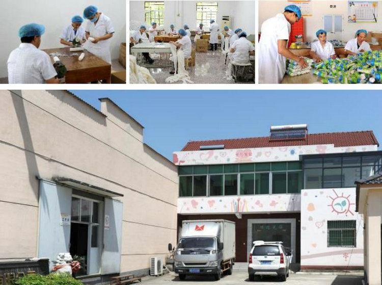 HD5 Adhesive Non Woven Wound Dressing Roll Wound Fixed Roll with CE/ISO13485 Certificates
