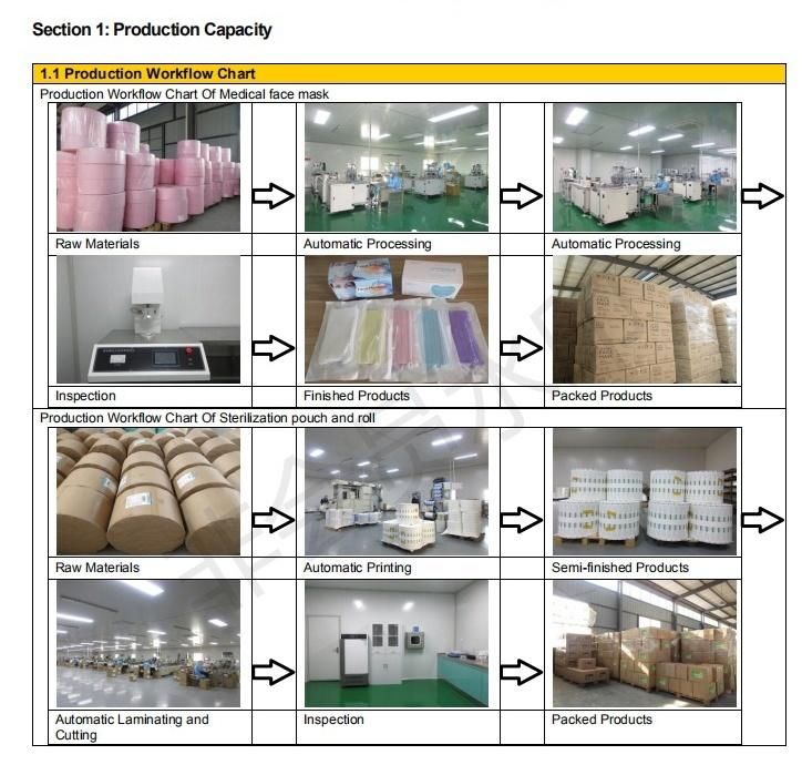 Sterilization Indicator Tape Medical Dental Use Eto/Autoclave/Form/Plasma Sterilization Indicator Tape