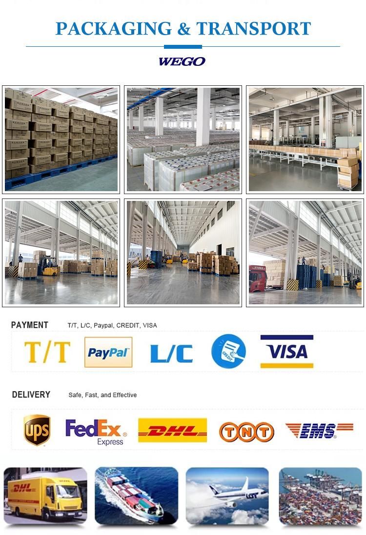 Wego Wholesale Factory Medical Disposable Oral Enfit Syringe for Feeding 3ml 5ml 10ml 20ml 30ml 50ml 60ml