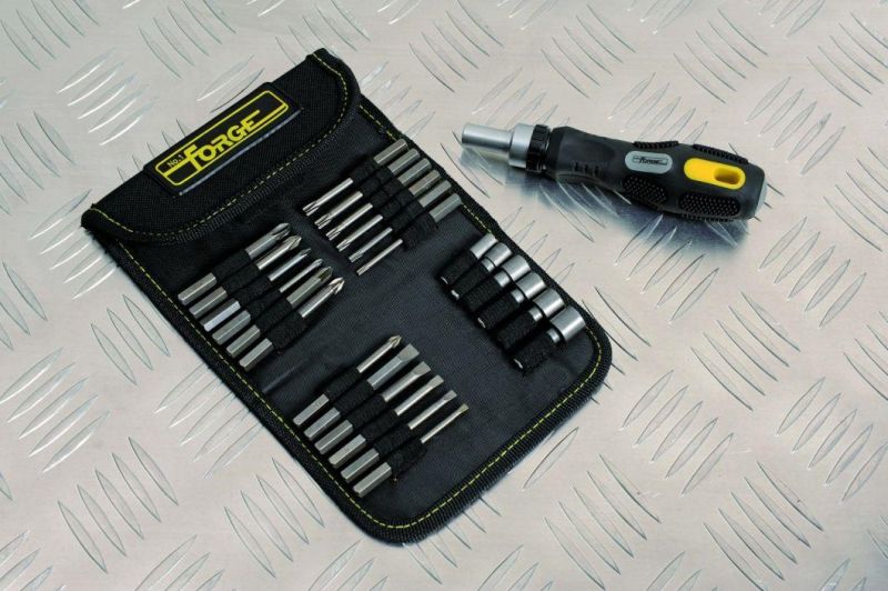 26PCS Multifunctional Hand Tools Cr-V Steel Ratchet Screwdriver & Bits Set