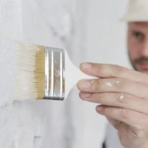 Low Price 9&prime;&prime; Inch Nylon Paint Roller Brush