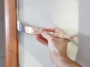 Paint Brush Professional, Commercial Paint Brush, Paint Brush Nylon