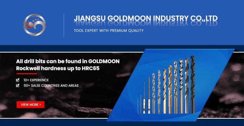 12PCS Black/Gold Drill Bits Set HSS Metal Drill Bit