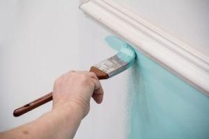 Function Tool Paint Roller Wall Painting Brush &Roller Paint