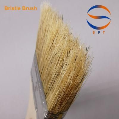 3 Inch 45mm Bristle Length Thick Bristle Brush Paint Brush