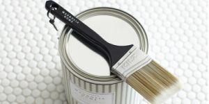 Bristle Radiator Brushes with Long Wooden Handle