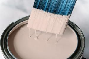 Various Color/ Artificial Head/Plastic Handle High Quality Paint Brush