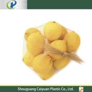 Washable Friendly Vegetable/Fruit Foldable Mesh Net Bag