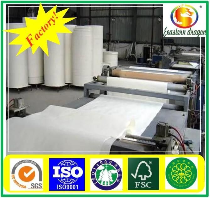 Grade AA Paper Cup Base Paper factory wholesale