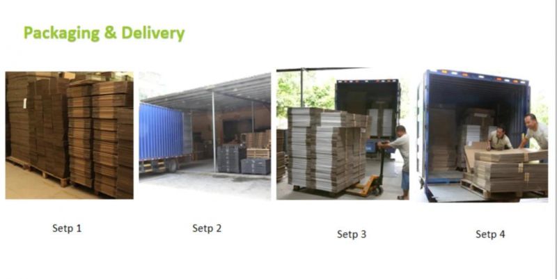 Long/Tall Folded Custom Cardboard Carton Packaging Box