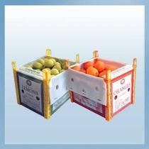 Foldable Clear Corrugated PP Hollow Sheet Seafood Fruit Vegetable Post Plastic Packaging Box