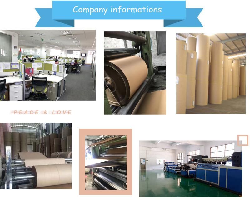 Customized Thickness Tensile Strength Anti White Plastic Slip Sheet