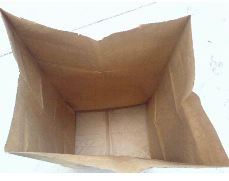 Eco-Friendly Leaf Trash Kraft Paper Bag Lawn and Leaf Paper Bag, Refuse / Garbage Bag