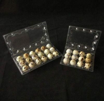 Clear PVC Pet Quail Egg Carton Plastic Quail Egg Trays