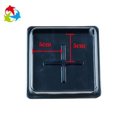 Disposable Small Food Grade Pet Clear Plastic Cake Containers