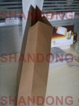 100% Biodegradable Paper Bag Art Paper/Cardboard with Custom Logo Printed