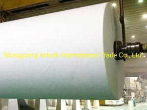 70/80GSM Copy Paper Jumbo Roll with Chenming Brand