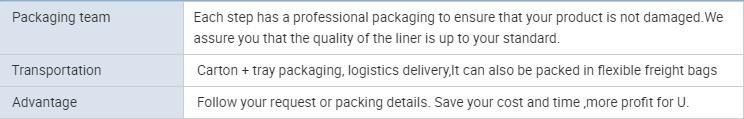 Customized FIBC Formed Inner Liner Bag for Food Packing Fssc22000 Certificated