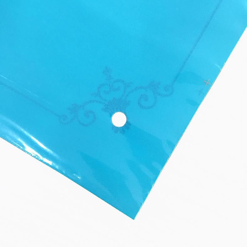 China Manufacturer PE Material Zipper Poly Bags Plastic Bags for Clothing