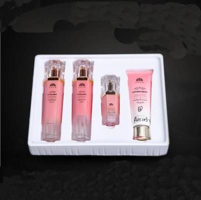 Plastic Cosmetic Blister Inside Tray