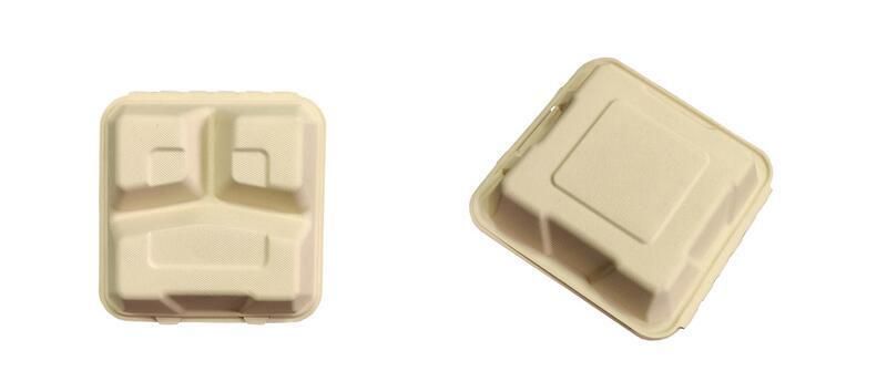 Eco Friendly 8*8 9*9 7*5 Inch 3 Compartments Compostable Bagasse Sugarcane Pulp Disposable Biodegradable Meal Food Box Compostable Clamshell Hamburger Tableware