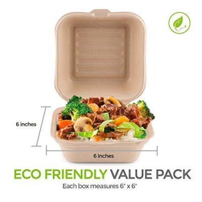 Biodegradable Food Packing Wholesale Take Away Lunch Box