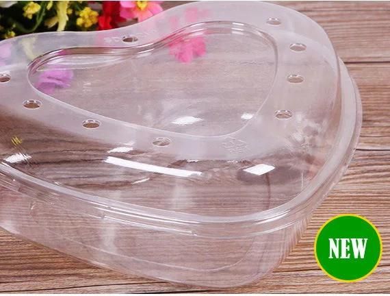Eco-friendly transparent heart shaped plastic containers plastic fruit tray
