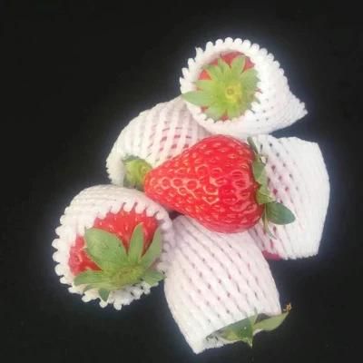 PE for Fruit Packaging Bottle Foam Protective Net