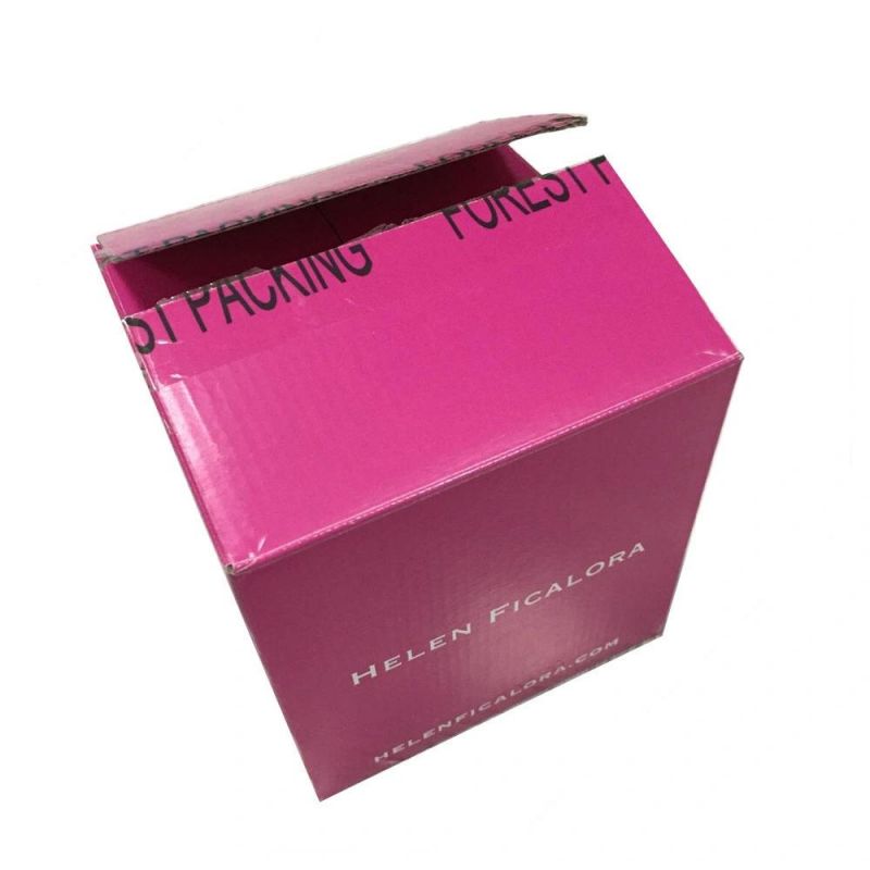 Foldable Recyclable Carton Box Packaging for Shipping Master Carton
