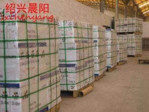 Pet Packing Strap Extrusion Machine